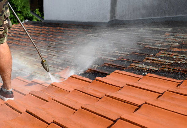 Best Residential Pressure Washing Services  in Park Ridge, IL