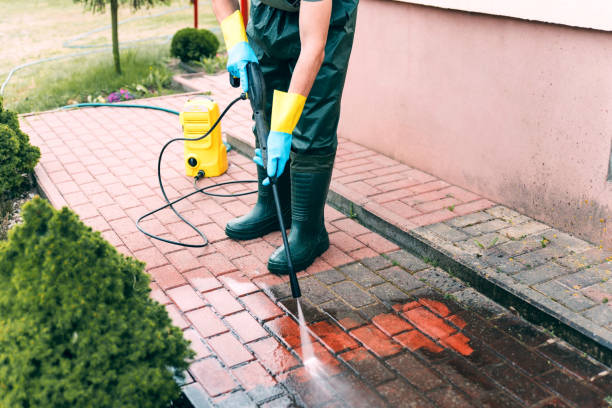 Best Fence Pressure Washing  in Park Ridge, IL