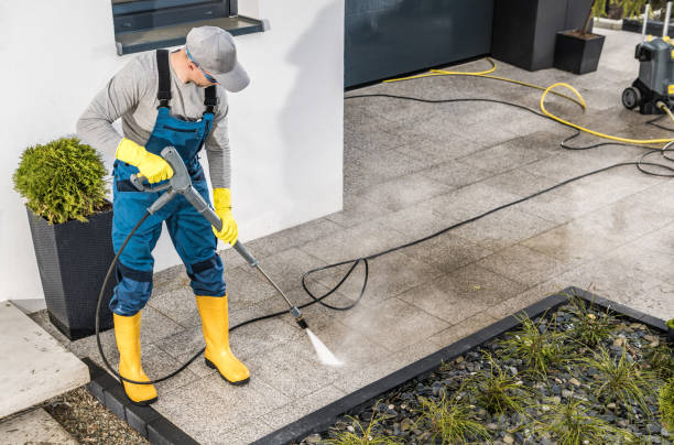 Best Affordable Pressure Washing  in Park Ridge, IL
